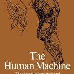 The Human Machine