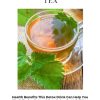THE HEALTH BENEFITS OF DRINKING NETTLE TEA