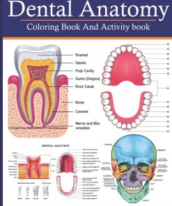 Dental Anatomy Coloring Book And Activity Book