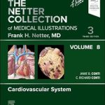 The Netter Collection of Medical Illustrations Cardiovascular System Volume 8 Netter Green Book Collection