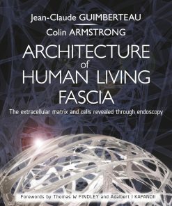 Architecture of Human Living Fascia The Extracellular Matrix and Cells Revealed Through Endoscopy