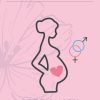 Pregnancy journal for Odontologists and new mothers