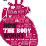 How the Body Works The Facts Simply Explained