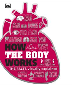 How the Body Works The Facts Simply Explained