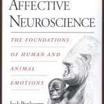 Affective Neuroscience