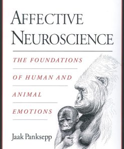 Affective Neuroscience