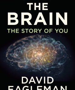 The Brain The Story of You