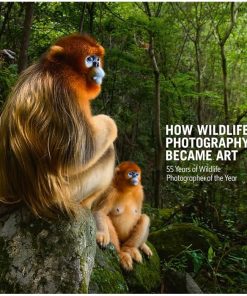 How Wildlife Photography Became Art