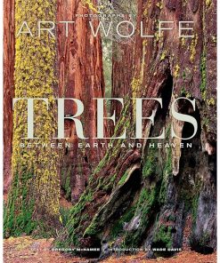 Trees: Between Earth and Heaven