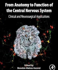 From Anatomy to Function of the Central Nervous System Clinical and Neurosurgical Applications