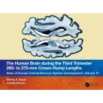 The Human Brain during the Third Trimester 260 to 270 mm Crown-Rump Lengths Atlas of Central Nervous System Development Volume 12