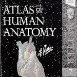 Atlas of Human Anatomy