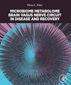 Microbiome Metabolome Brain Vagus Nerve Circuit in Disease and Recovery