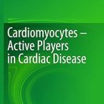 Cardiomyocytes – Active Players in Cardiac Disease