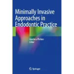 Minimally Invasive Approaches in Endodontic Practice
