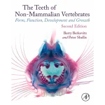 The Teeth of Non-mammalian Vertebrates