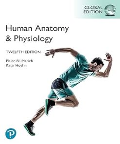 Human Anatomy & Physiology
