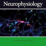 Cellular and Molecular Neurophysiology