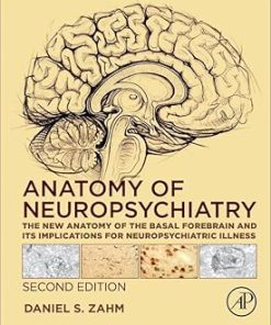 Anatomy of Neuropsychiatry The New Anatomy of the Basal Forebrain and Its Implications for Neuropsychiatric Illness