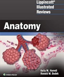 Lippincott Illustrated Reviews Anatomy