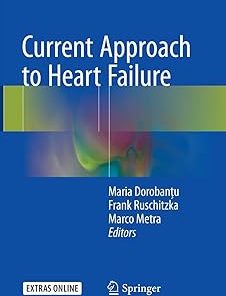Current Approach to Heart Failure