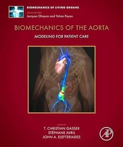 Biomechanics of the Aorta Modeling for Patient Care