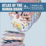 Atlas of the Human Brain