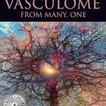 The Vasculome From Many One