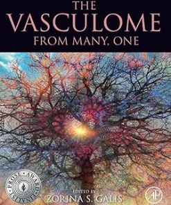 The Vasculome From Many One