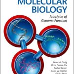 Molecular Biology