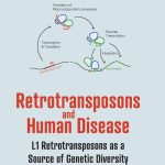 Retrotransposons And Human Disease