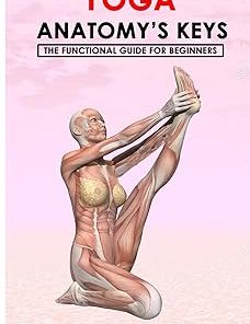 Yoga Anatomy's Keys The Functional Guide for Beginners