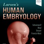 Larsen's Human Embryology