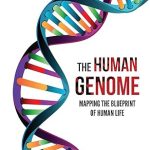 The Human Genome