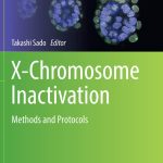 X-Chromosome Inactivation