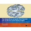 The Human Brain during the Third Trimester 310 to 350mm Crown Rump Lengths Atlas of Central Nervous System Development Volume 13
