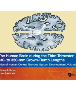 The Human Brain during the Third Trimester 310 to 350mm Crown Rump Lengths Atlas of Central Nervous System Development Volume 13