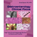 Independently published Gastroenterology Clinical Focus