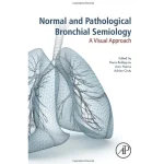 Normal and Pathological Bronchial Semiology