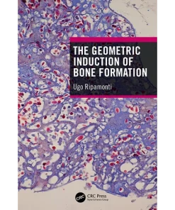 The Geometric Induction of Bone Formation