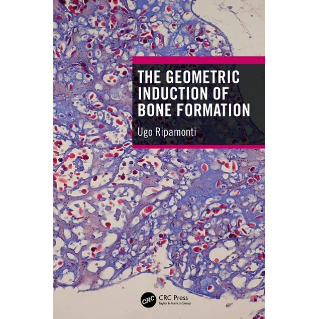 The Geometric Induction of Bone Formation