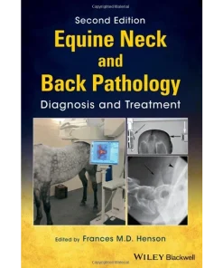 Equine Neck and Back Pathology
