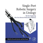 Single-Port Robotic Surgery in Urology