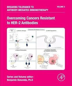 Overcoming Cancers Resistant to Her-2 Antibodies