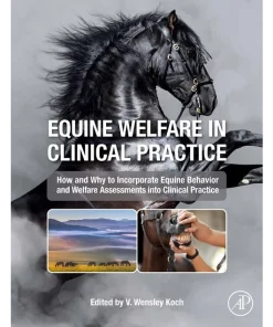 Equine Welfare in Clinical Practice