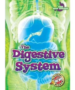 The Digestive System