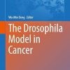 The Drosophila Model in Cancer