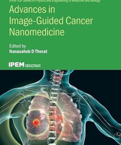 Advances in Image-Guided Cancer Nanomedicine