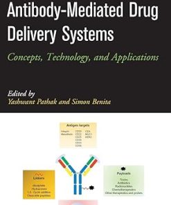 Antibody-Mediated Drug Delivery Systems