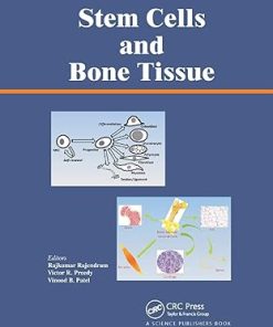 Stem Cells and Bone Tissue